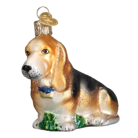 Basset Hound