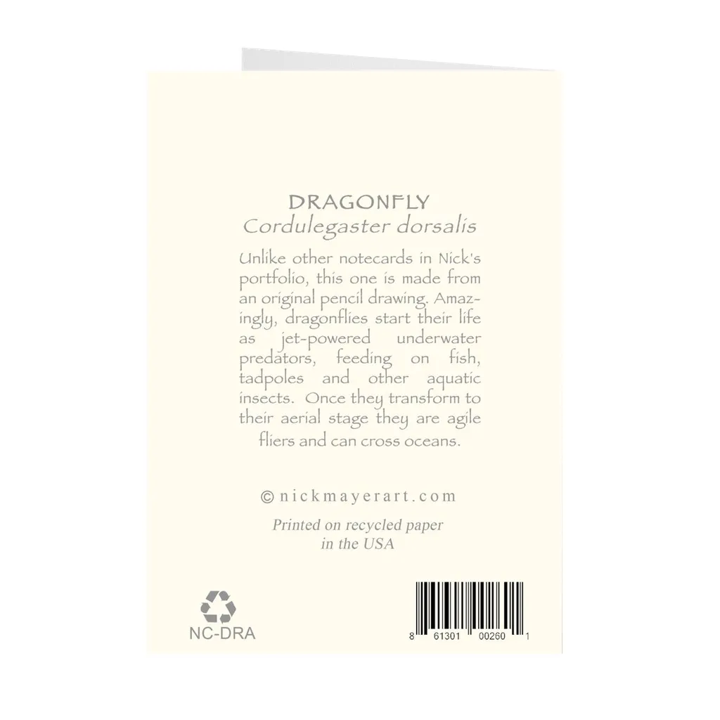 Dragonfly Notecards