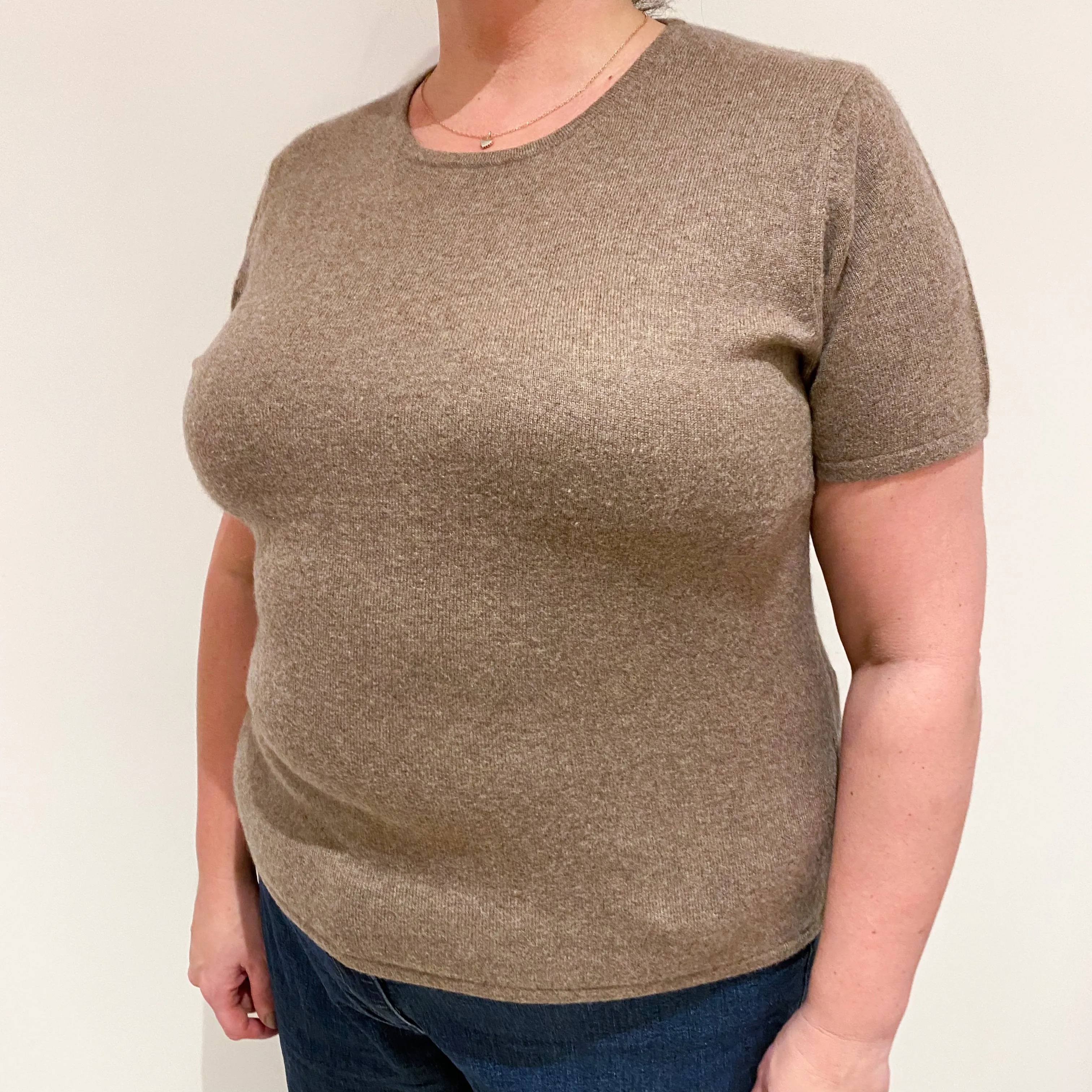 Mocha Brown Short Sleeved Cashmere Crew Neck Jumper Extra Large