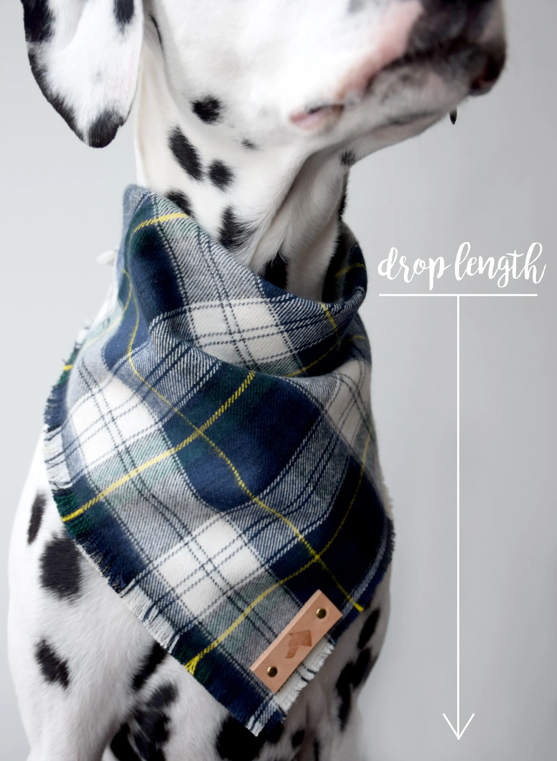 TUCSON Luxe Fringed Flannel Dog Bandana - Snap/Tie On Cotton Scarf